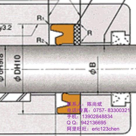 柳工液压机械油封日本NOKISI密封件图片