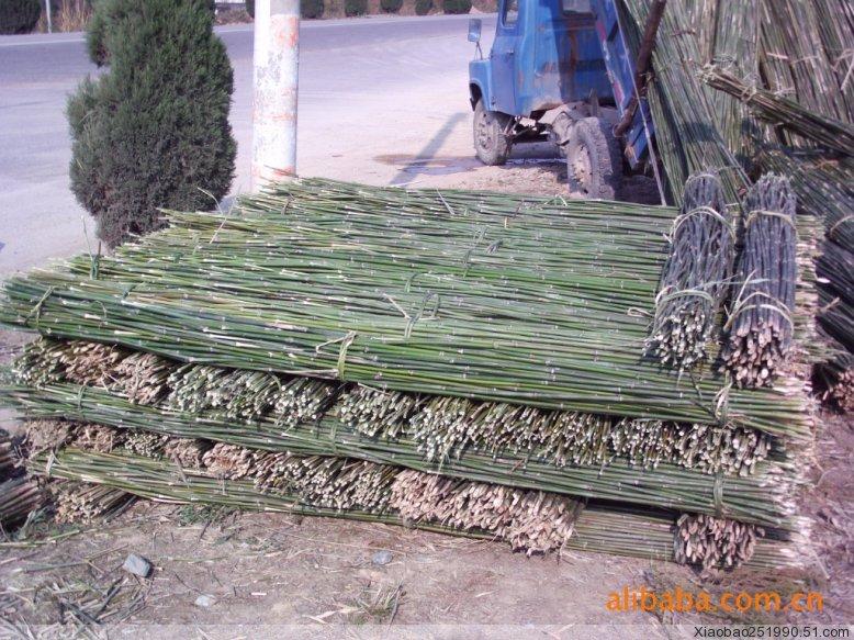 供應(yīng)河南菜架竹