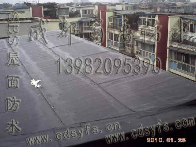 成都屋頂防水工程 銷售防水卷材 防水卷材 SYR防水 SBS防水卷材 工程 成都專業(yè)防水公司