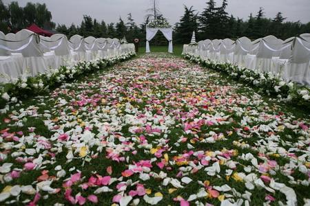 供應(yīng)婚禮策劃