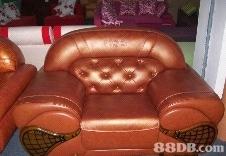 供應沙發(fā)清洗公司窗簾清潔