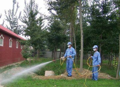 專業(yè)滅跳蚤專殺跳蚤021-54303723上海殺蟲公司，滅白蟻公司