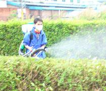 殺蟲圖片/殺蟲樣板圖 (2)