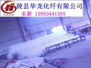 土工膜生產(chǎn)廠(chǎng)家圖片