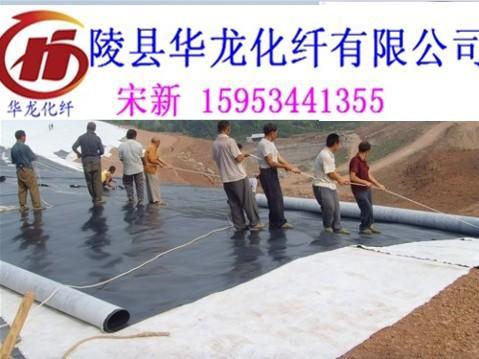 防滲膜土工膜圖片