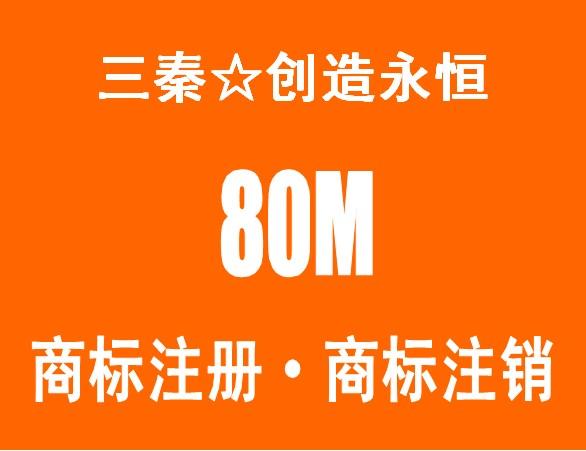 北京市商标注册海关备案商标代理公司厂家