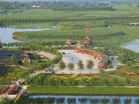 供應(yīng)白洋淀大觀園基地