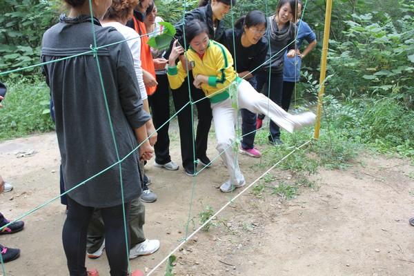 供應(yīng)拓展訓(xùn)練-礪鋒經(jīng)典項(xiàng)目之電網(wǎng)