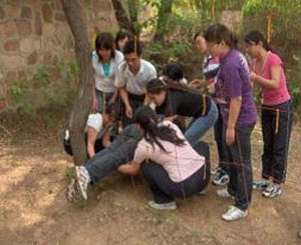 供應(yīng)拓展訓(xùn)練-礪鋒經(jīng)典項(xiàng)目之電網(wǎng)