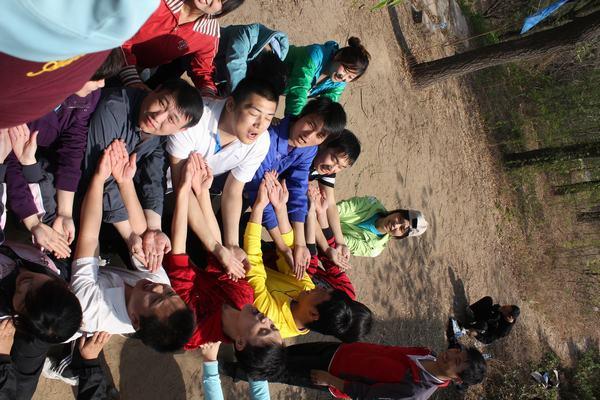 供應(yīng)拓展項(xiàng)目：背摔/石家莊拓展訓(xùn)練拓展項(xiàng)目背摔/石家莊拓展訓(xùn)練