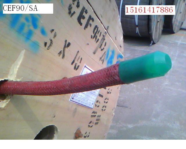 供應(yīng)電纜CJPF90/SC