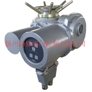 供應(yīng)揚修D(zhuǎn)ZW10+WK2智能一體化電動執(zhí)行器