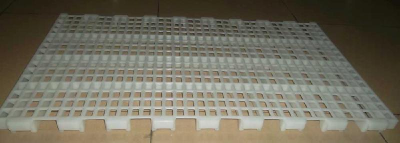 養(yǎng)雞場墊板圖片