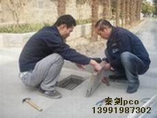 西安滅蟑螂陜西滅蟑螂圖片