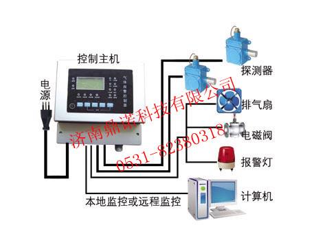 济南鼎诺安防专业供应DN-T1000现场显示液化气泄漏报警探测器 DN-T4000天然气报警器图片