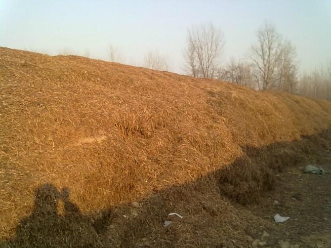 供應(yīng)東北草粉吉林草粉草粉市場(chǎng)草粉價(jià)格