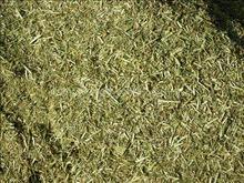 供應(yīng)東北草粉吉林草粉草粉市場(chǎng)草粉價(jià)格