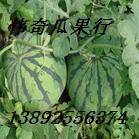 供應陜西日本大紅桃大量上市