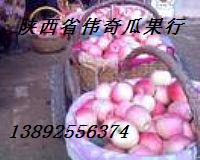 供應(yīng)陜西嘎啦蘋果大量上市