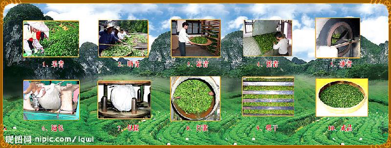 供應(yīng)*拖酸香鐵觀音