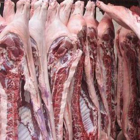 上海金鑼冷鮮肉豬白條保鮮肉放心肉圖片