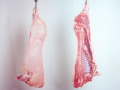 供應上海金鑼冷鮮肉放心肉，上海金鑼冷鮮肉放心肉價格多少，上海金鑼冷鮮肉放心肉批發(fā)