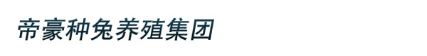 帝豪种兔养殖集团