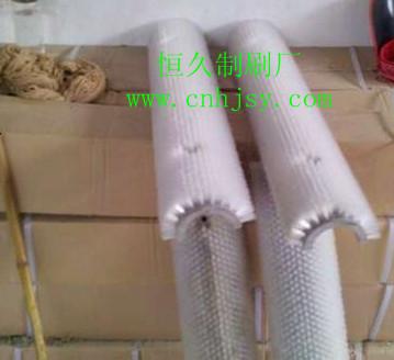 供應(yīng)甘肅蘿卜清洗半片刷 新疆蘿卜清洗機(jī)組裝片刷