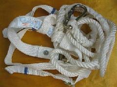 廣東安全帶批發(fā)圖片