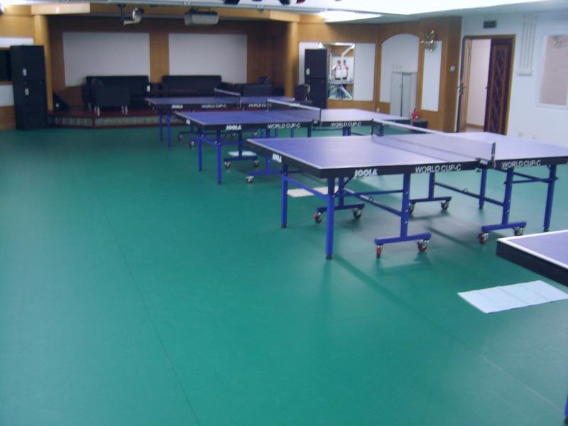 地膠專業(yè)舞蹈地膠舞蹈教室地板膠圖片