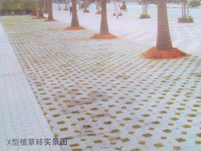 珠海x型植草磚
