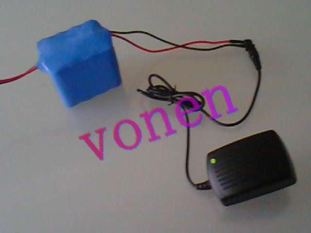 18650鐵鋰電池組12V4AH圖片