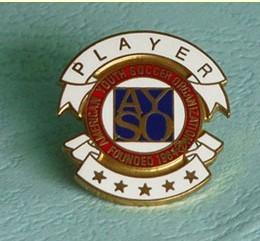 遼寧省景泰藍徽章制作生產廠家圖片