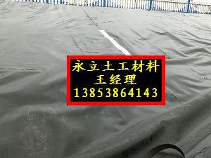 環(huán)保型復(fù)合土工膜800g水庫大壩專用圖片