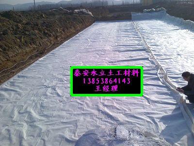 永立土工膜土工布復合土工膜圖片