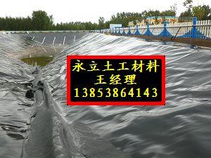 石家莊HDPE防滲膜路基基層加固防圖片