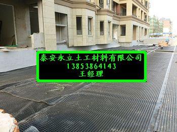 高強(qiáng)度塑料排水板（抗壓環(huán)保）樓頂*排水板