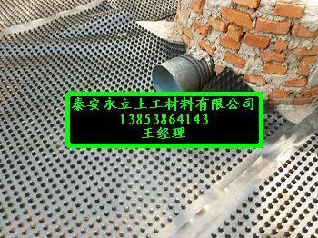 加筋車庫綠化排水板塑料排水圖片
