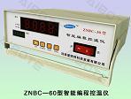供應ZNBC-60編程控溫儀器，定時控溫