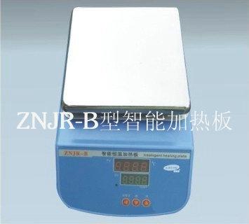 供應(yīng)廣州智能恒溫加熱板ZNJR-B