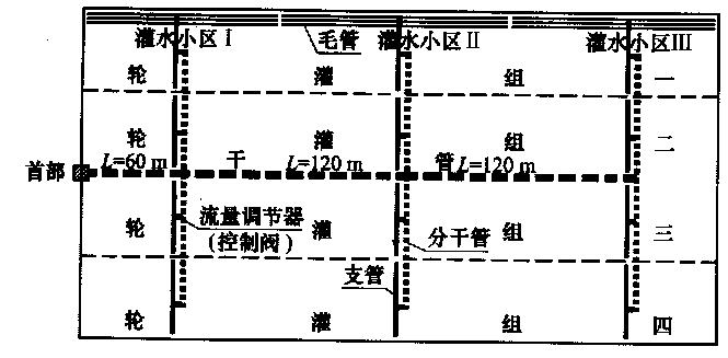 供應滴灌帶滴灌作用