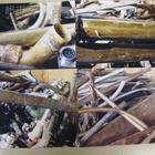 天津和平圖片/天津和平樣板圖 (4)