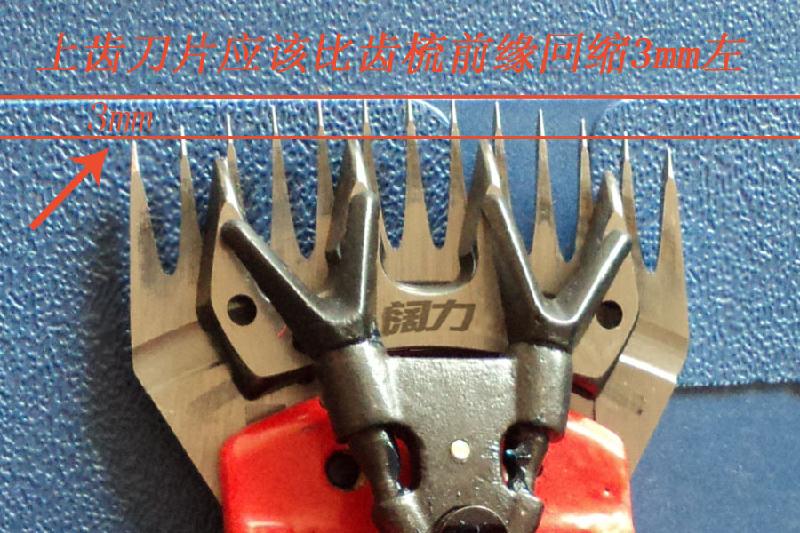 廠價(jià)直銷電動(dòng)羊毛剪羊毛電動(dòng)工具
