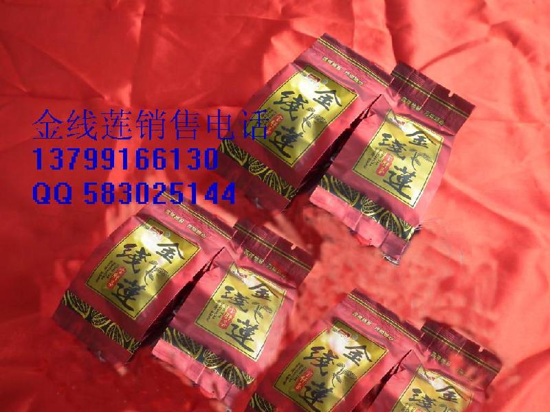 供應(yīng)*金線蓮茶