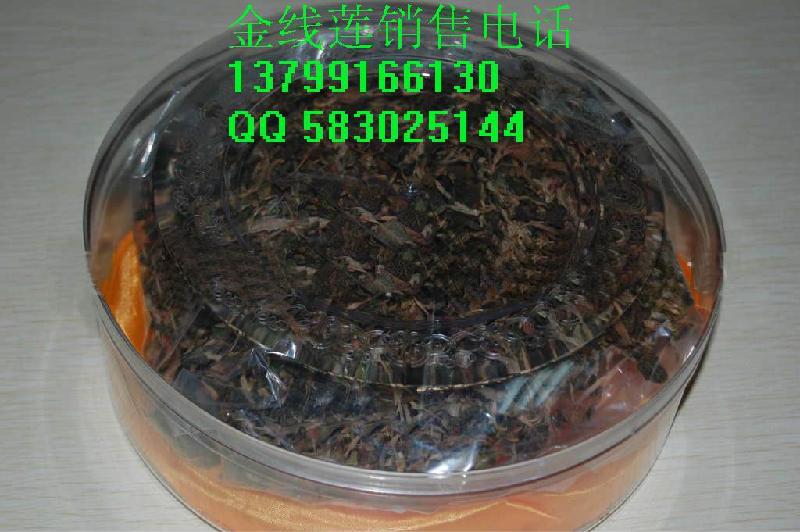 供應(yīng)*金線蓮