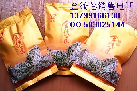 供應(yīng)*金線蓮茶