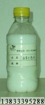 一次性圖片/一次性樣板圖 (2)