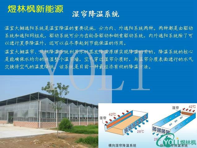 供應(yīng)太陽(yáng)能觀光溫室大棚