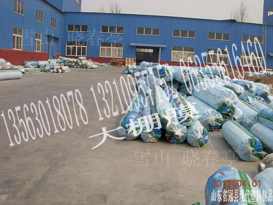 供應(yīng)新疆長壽無滴大棚膜