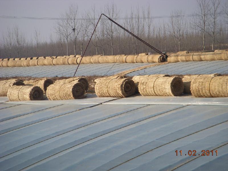 供應(yīng)阿拉爾長壽無滴大棚膜